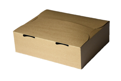 Caja Delivery 2 combos